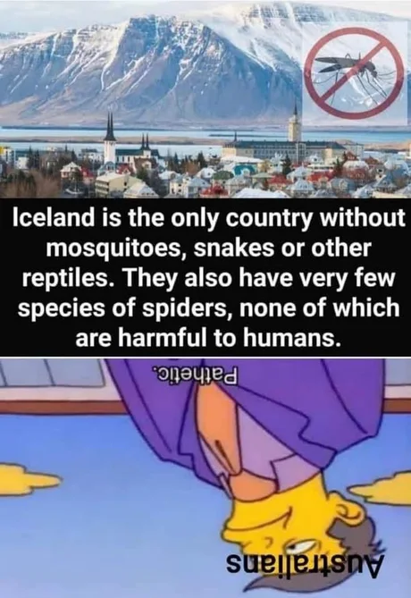 From now on i m going to spend every summer in Iceland