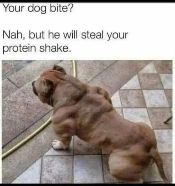 No it will beat the shit out of you