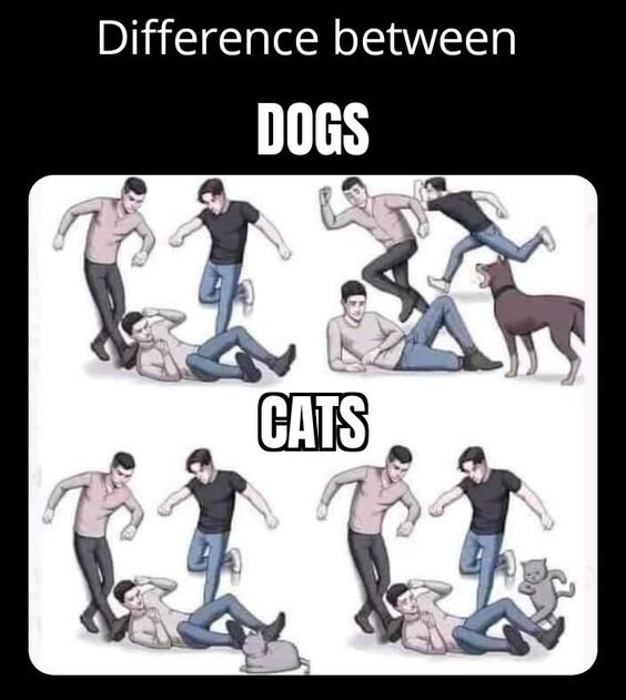 Defference between Dogs and Cats