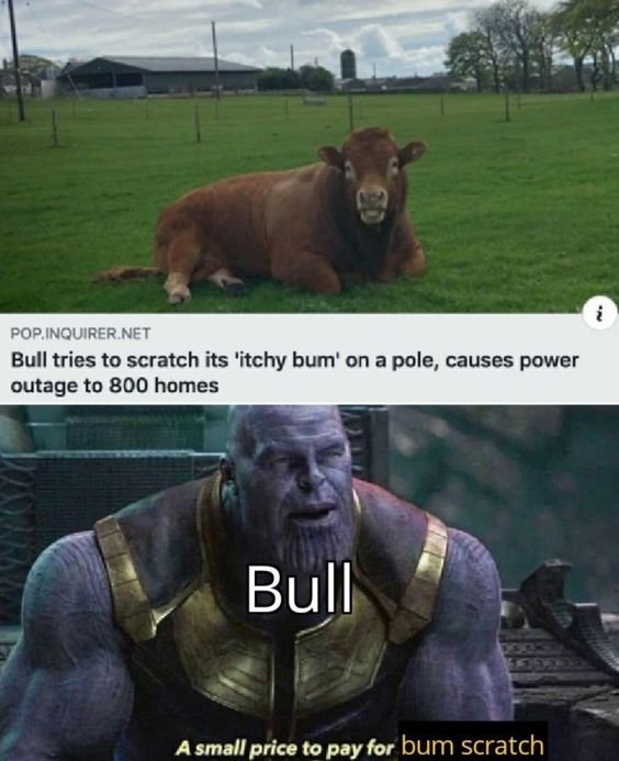 A small price to pay for a bum scratch