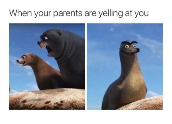 When your parents are yelling at you
