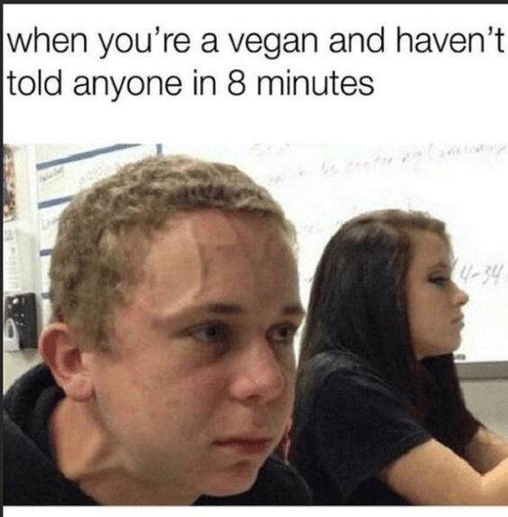 When you are a vegan and you haven t told anyone in 8 minutes - Funny on Aviaclip