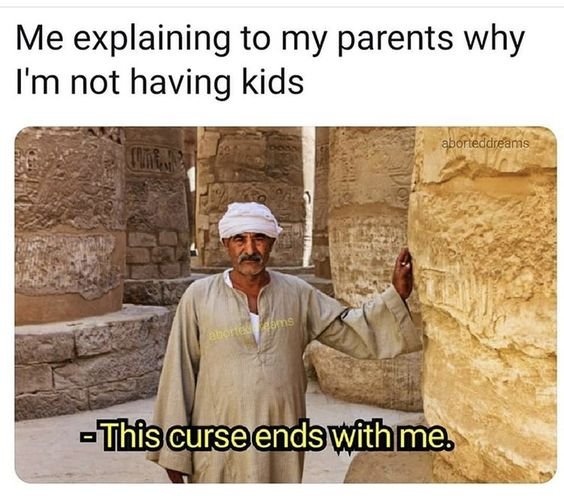 Explaining to my parents why i m not having kids